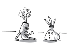 Karotte und Zwiebel 4.jpg